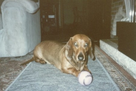 Rikky