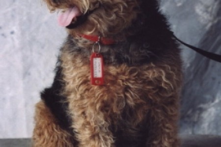 Tinka