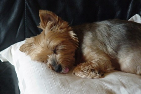 Nicky